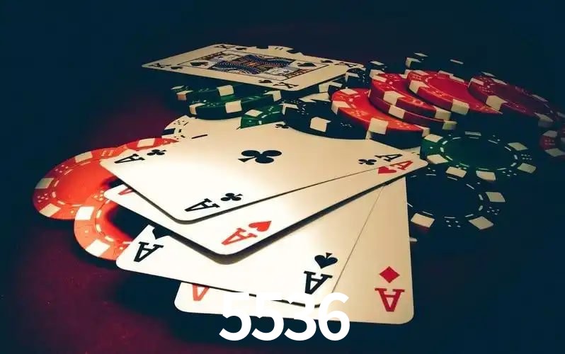 5536 visual 2